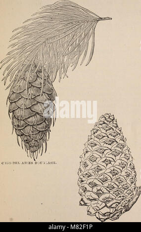 Catalogo abreviado precio corriente de semillas, etc., etc. - (1884) (20387116030) Stock Photo
