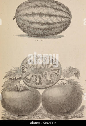Catalogo abreviado precio corriente de semillas, etc., etc. - (1884) (20388413609) Stock Photo