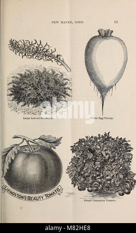 Catalogue of seeds and plants for spring 1894 (1894) (19963281383) Stock Photo