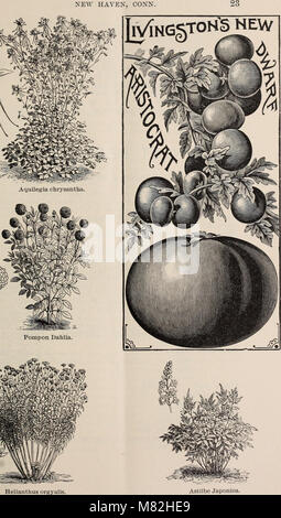 Catalogue of seeds and plants for spring 1894 (1894) (19963284793) Stock Photo