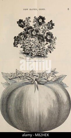 Catalogue of seeds and plants for spring 1894 (1894) (20590721831) Stock Photo