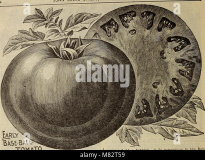 Childs' rare flowers, fruits and vegetables (1914) (20581798546) Stock Photo