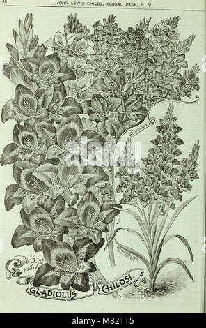 Childs' rare flowers, vegetables, and fruit (1905) (19985919833) Stock Photo