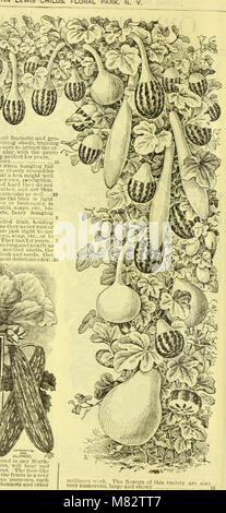 Childs' rare flowers, vegetables, and fruit (1905) (20418587510) Stock Photo
