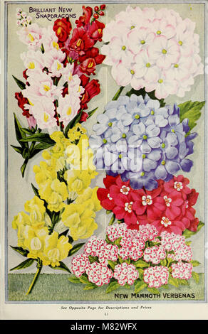 Childs' spring 1930 55th year - no sale complete until our customer is satisfied (1930) (19986064684) Stock Photo