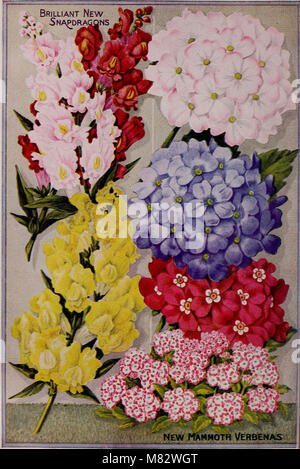 Childs' spring catalog - 1927 52nd year (1927) (20422259859) Stock Photo