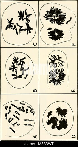 Colchicine in agriculture, medicine, biology, and chemistry (1955) (20041154943) Stock Photo