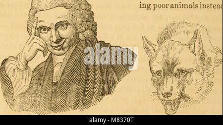 Comparative physiognomy; or, Resemblances between men and animals (1852) (14595264280) Stock Photo