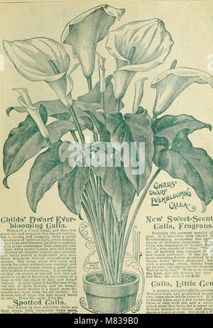 Condensed catalogue of specialties, novelties and special offers in choice, new and rare bulbs, plants, seeds and fruits (1900) (14579585278) Stock Photo