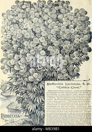 Condensed catalogue of specialties, novelties and special offers in choice new, and rare bulbs, plants, seeds and fruits (1897) (20491755940) Stock Photo