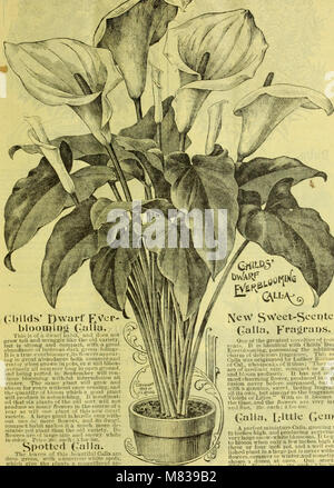 Condensed catalogue of specialties, novelties and special offers in choice new and rare bulbs, plants, seeds and fruits (1903) (20057184704) Stock Photo