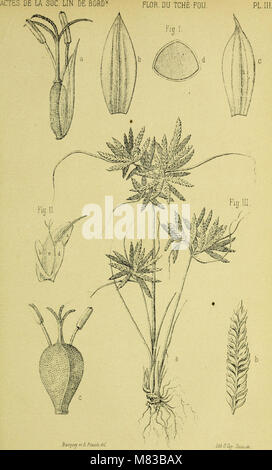 This Chinese botanical work focuses on various plant species ...