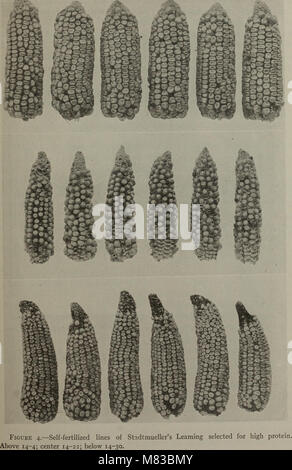 Contributions from the Laboratory of Plant Genetics (1909) (20677806512) Stock Photo