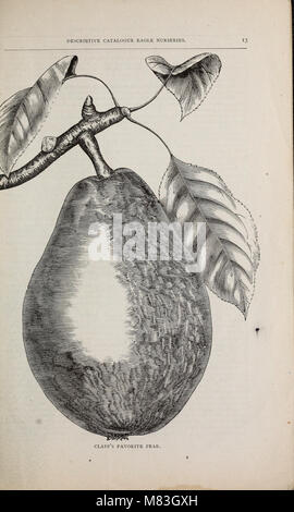 Crouse Brothers' descriptive catalogue - fruits, ornamental trees, shrubs, roses, etc (1879) (20092025683) Stock Photo