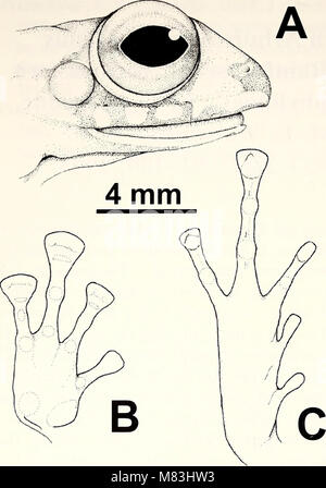 Picture of 'Current Herpetology' (2003) is a scientific journal focusing on the ...