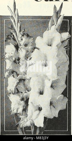 Currie's garden annual - spring 1934 59th year (1934) (20825206721) Stock Photo