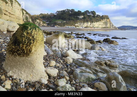 Rock on the pebble beach near village of Beer in East Devon on the Jurassic Coast natural World Heritage Site Stock Photo