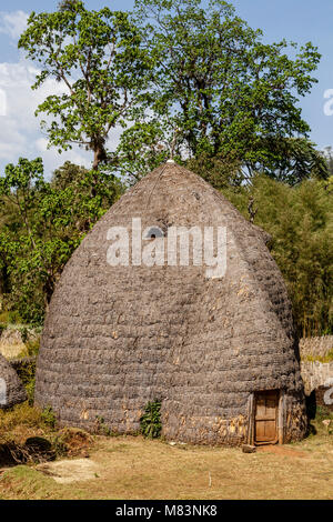 Traditional Dorze House, Guge Mountains, Southern Nations and Peoples Region, Ethiopia Stock Photo