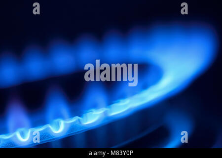 Gas Flame on a Cooker Hob, Close Up Stock Photo