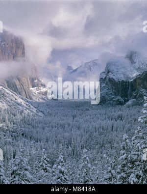 Clearing Storm, Yosemite Valley, Yosemite National Park, California Stock Photo