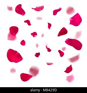 Pink rose petals are falling down Stock Vector