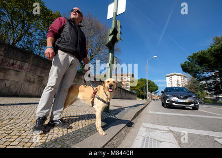 Blind person with guide dog waiting to cross the road Stock Photo