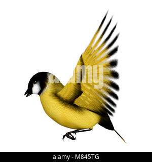 3D rendering of a flying songbird goldfinch isolated on white background Stock Photo