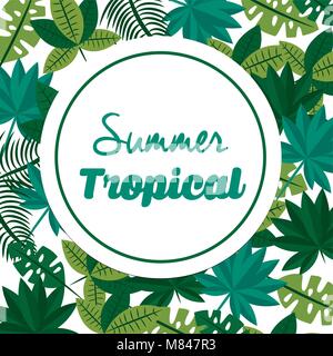 summer tropical season Stock Vector