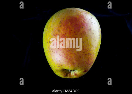 Old German Apple Cultivar Zuccalmaglios Renette Stock Photo