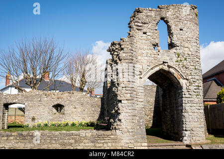 Gatehouse of Barry castle ruin lit by early morning sunshine under a clear blue sky Stock Photo