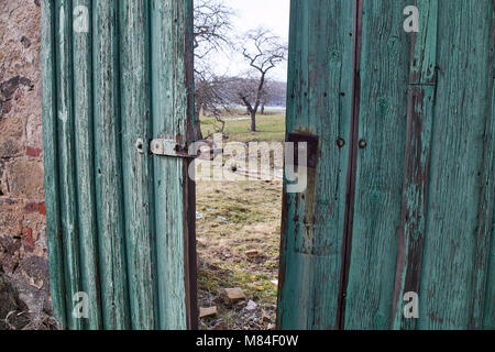 Look through an open old green wooden barn in an abandoned ruin with metal latch Stock Photo