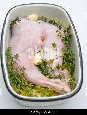 Raw rabbit leg with garlic, thyme, and olive oil Stock Photo