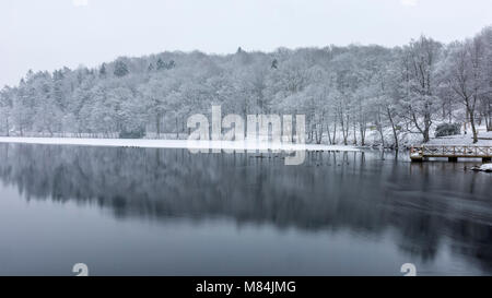 Frozen ice covered Lake Sävelången in winter with many birds, mainly ducks along the edge of the ice sheet, Floda, Sweden Stock Photo
