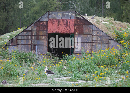 Armco quonset hut covered in sand and used as a bunker for storing ammunition during World War II. Stock Photo