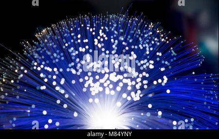light fiber optics, fiber threads for ultra fast internet communications, thin light threads that move information at high speed Stock Photo