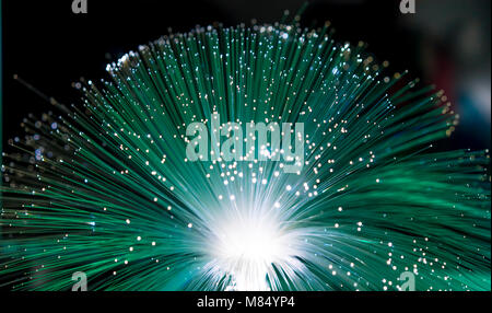 fiber optics, fiber threads for ultra fast internet communications, thin light threads that move information at high speed Stock Photo