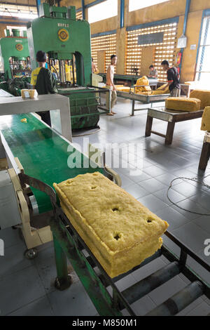 Rubber factory, Cambodia, Asia - workers producing rubber in a rubber factory, Cambodia, Asia Stock Photo