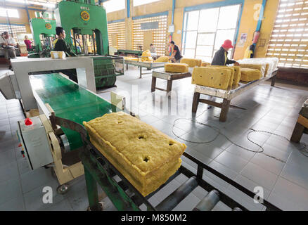 Rubber factory, Cambodia, Asia - workers producing rubber in a rubber factory, Cambodia, Asia Stock Photo