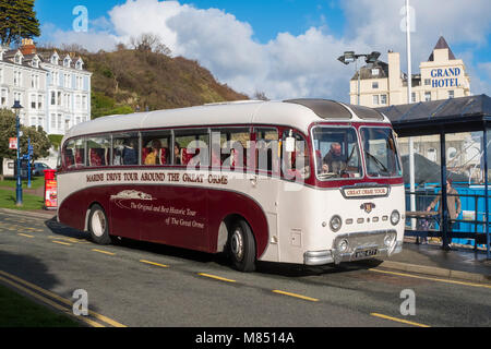 Great Orme Tour bus on the seafront at Llandudno, Conwy, Wales, UK. Stock Photo