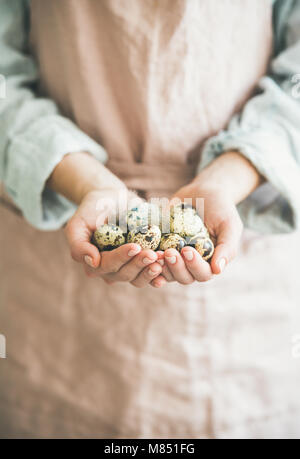 Natural Quail eggs and feather in woman's hands for Easter Stock Photo