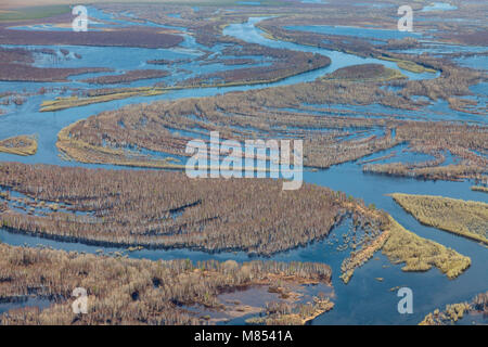 Aerial view of flooded trees during spring flooding Stock Photo