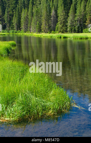 Truckee River along Truckee River Bike Trail, Lake Tahoe Basin National Forest, California Stock Photo