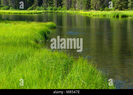 Truckee River along Truckee River Bike Trail, Lake Tahoe Basin National Forest, California Stock Photo