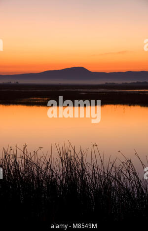 Dawn, Lower Klamath Basin National Wildlife Refuge In Autumn ( Fall 