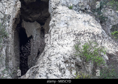 Bats flying in a row coming out of the Phnom Sempeau mountain cave at Battambang on Cambodia Stock Photo