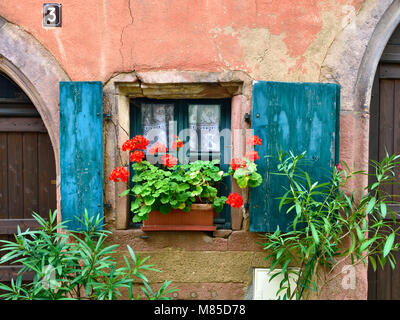Painted shutters and a window box add a splash of colour to a medieval house in Riquewihr, Alsace, France. Stock Photo