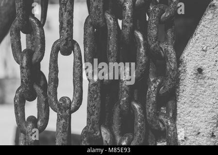 tree rusty chains, over a white background Stock Photo