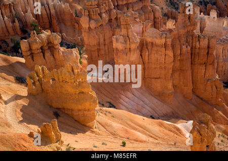 View of early morning light on hoodoos as seen from the Sunset Point overlook in Bryce Canyon National Park, Utah USA Stock Photo