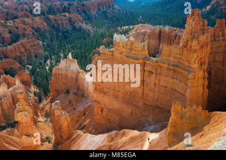 A hiker enjoys the early morning light on hoodoos below the Sunset Point overlook in Bryce Canyon National Park, Utah USA Stock Photo