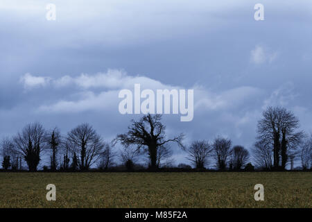Fall of the day on the countryside, in winter, north Mayenne (Pays de la Loire, France). Stock Photo